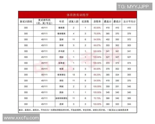 武汉羽毛球队个人能力分析与发展潜力探讨