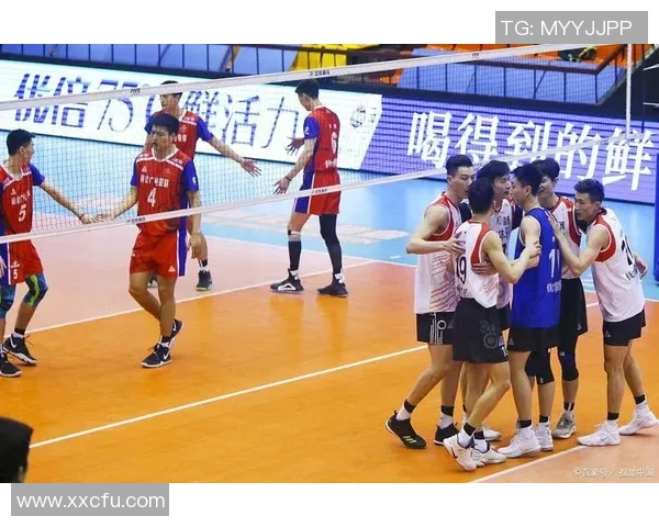 深圳排球队比赛经验革新引发热议助力球队未来发展