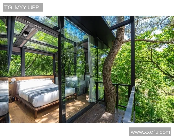 民宿足球新体验:在温馨的家中享受激情四溢的绿茵场景